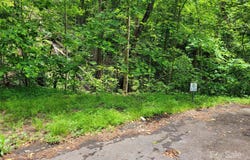 Tbd Bear River Lodge Road, Marshall, NC 28753
