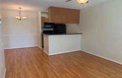 220 LAKE PARSONS Green, BRANDON, FL 33511