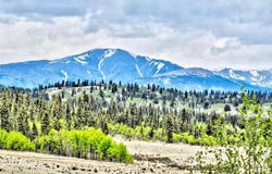 142 PUMA COURT, Como, CO 80432