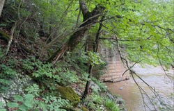 Tbd Buzzard Roost Ln, Hillsville, VA 24343