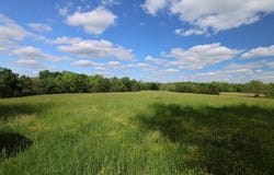420 Stanley Syra Road, Edmonton, KY 42129