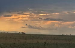 61776 Huckleberry Road, Boone, CO 81025