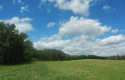 ON MAX RD, Pelican Lake, WI 54463