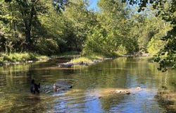 683 LITTLE CACAPON LEVELS RD, POINTS, WV 25437