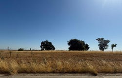 0, Madera, CA 93637
