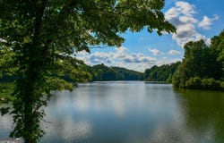 Lot 147 Laceola South, Cleveland, GA 30528