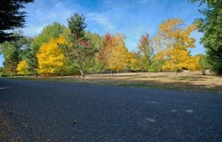 1850 Edwards Drive, Point Roberts, WA 98281