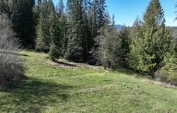 NNA Bottle Brand Rd, Hope, ID 83836