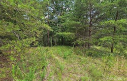 N Coast Drive unit: 17-6, Mill Spring, NC 28756