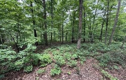 Rori  LN, Bella Vista, AR 72715