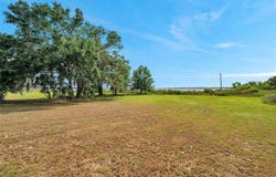 890 N BUENA VISTA DRIVE, LAKE ALFRED, FL 33850