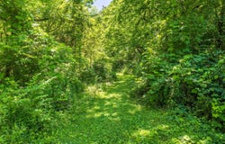 6954 Robinson Drive, Chattanooga, TN 37421