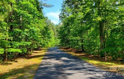 23/24 Loblolly Lane unit: 23/24, Mill Spring, NC 28756