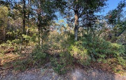 Sycamore Street, Bay Saint Louis, MS 39520