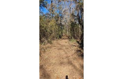 Mossy Oak Trail lot: 2 Of A 3 Lot 2.1.9 Su, Tallahassee, FL 32317