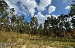 02 Seneca St Ext, Calhoun Falls, SC 29628