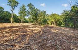 005 Cantrell Road, Mansfield, MO 65704