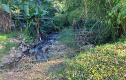 Carr. 108,Camino Adelina BO. RÍO CAÑAS, MAYAGUEZ, 00680