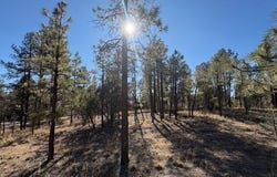 3211 W Black Oak Loop, Show Low, AZ 85901