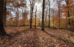 Cobblestone Lane, St Albans, WV 25177