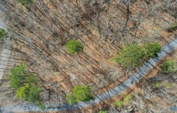 3.36 Acres Blowing Cave Road, Gurley, AL 35748