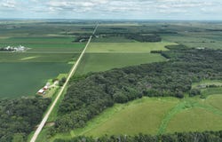 170th St, Riceville, IA 50466