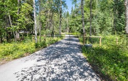 645 Wolf Creek Drive, Bigfork, MT 59911