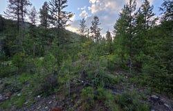 Lot 13 Kokopelli Drive, Gibbonsville, ID 83463
