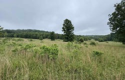 0 Honeytree Lane, Camp, AR 72520