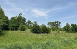 29036 Biehn Drive, Madison Lake, MN 56063
