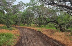 Cr 119, Burnet, TX 78611
