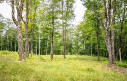 Beaver Creek Hollow Road lot: 8, Andes, NY 13752