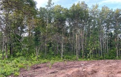 29939 Patriot Ave, Pequot Lakes, MN 56472