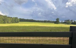 0 Highway 16, Monticello, GA 31064