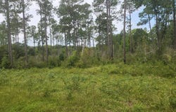 0 River Trace, Camilla, GA 31730