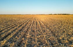 000 100 N, Raritan, IL 61471