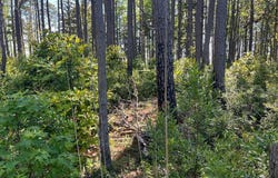 570 Highway 70 lot: 5 6 7, Smyrna, NC 28579