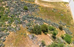 Jacks Hill Road, Tehachapi, CA 93561