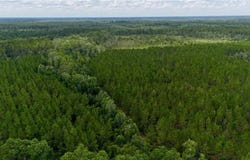 0 Fire Tower Road, Manor, GA 31550