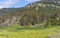 Willow Creek N Fork Road, Livingston, MT 59047