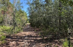 503 Old McHaus Road(Private) Road, Other, GA 31554