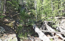 0 Gamble Gulch, Black Hawk, CO 80422