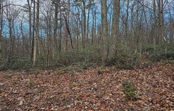 Lot 3 BROWN BEAR TRAIL, BLOOMERY, WV 26817