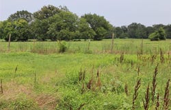 0000 County Road 2383, Pickton, TX 75471