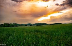 2200 Old Hall Parcel'S 3 & 4 Road, Limestone, TN 37681