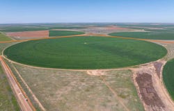 Busby Farm 516.34 Acres CR 625, Hart, TX 79027