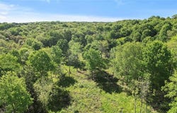 000 Hwy 56, Bells, TX 75414