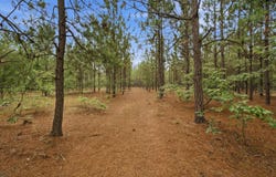 3390 Hunter Road, Kershaw, SC 29067