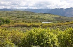 22000 P 77 Road, Cimarron, CO 81220