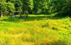 115 Willis Road, Rogersville, TN 37857
